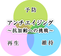 企業理念チャート